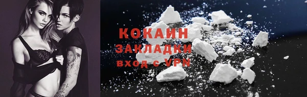 шишки Нея