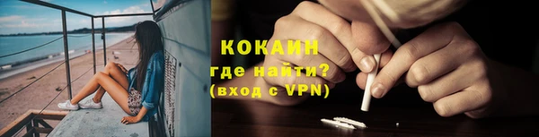 твердый Алексин