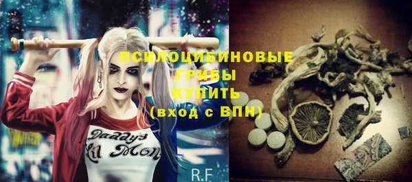 дурь Алексеевка